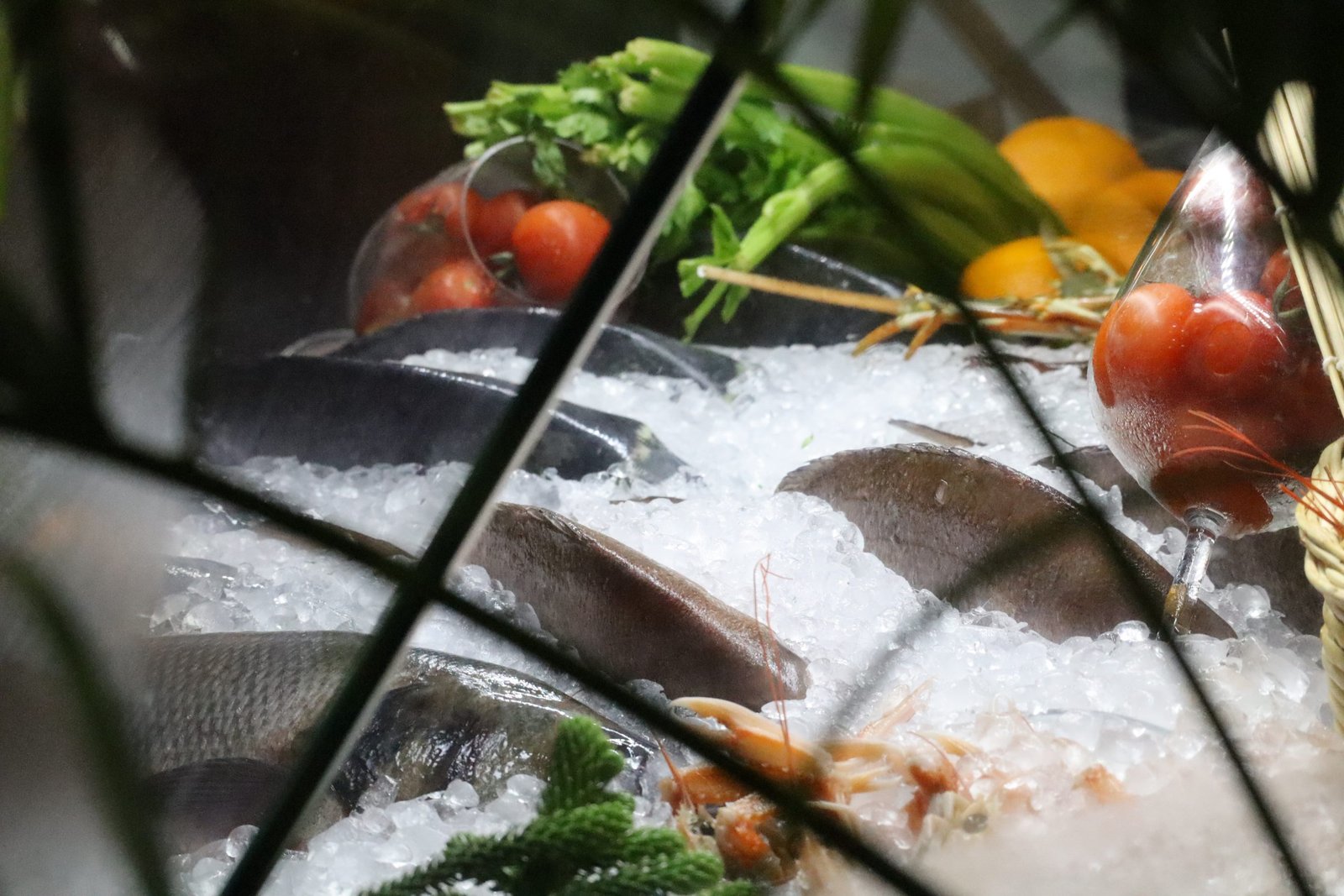 Fresh seafood and authentic Albanian cuisine at Mucobega Resort restaurant